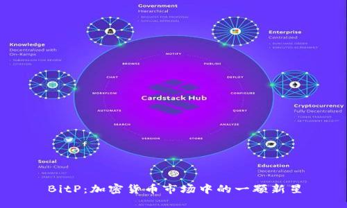 BitP：加密货币市场中的一颗新星