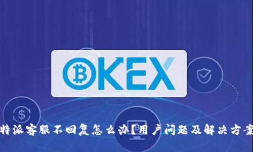 : 比特派客服不回复怎么办？用户问题及解决方案详解