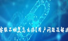 : 比特派客服不回复怎么办？用户问题及解决方案