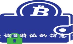 : 如何查询B特派的信息：全面指南