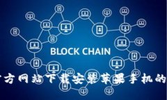 比特派官方网站下载安装苹果手机的详细指南