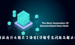 比特派为什么转不了语音？详解常见问题及解决