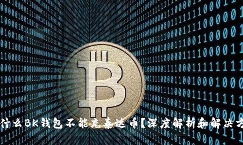 为什么BK钱包不能充泰达币？深度解析和解决方案