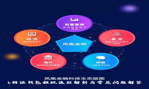 b特派钱包提现流程解析与常见问题解答