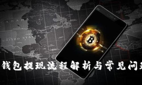 b特派钱包提现流程解析与常见问题解答