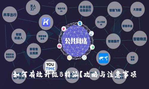 如何有效升级B特派？攻略与注意事项