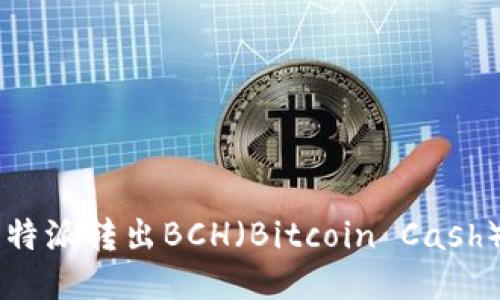 如何通过比特派转出BCH（Bitcoin Cash）: 全面指南