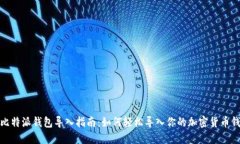 : 比特派钱包导入指南：如何轻松导入你的加密货