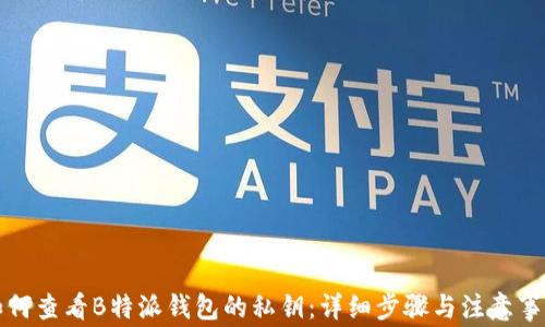 
如何查看B特派钱包的私钥：详细步骤与注意事项