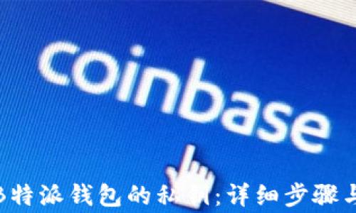 
如何查看B特派钱包的私钥：详细步骤与注意事项