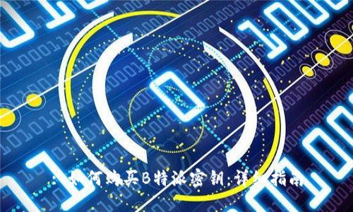 : 如何购买B特派密钥：详细指南