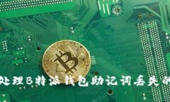 如何处理B特派钱包助记词丢失的问题