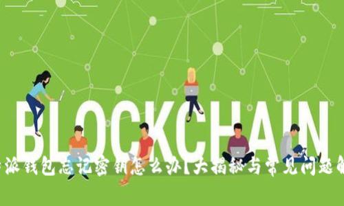 b特派钱包忘记密钥怎么办？大揭秘与常见问题解答