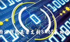 b特派钱包是否支持BNB？真相揭秘