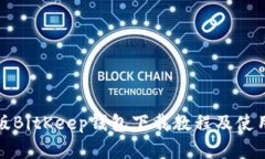 安卓版BitKeep钱包下载教程及使用指南