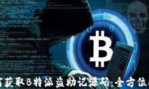 
如何获取B特派盗助记源码：全方位指南