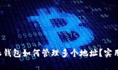 b特派钱包如何管理多个地址？实用指南