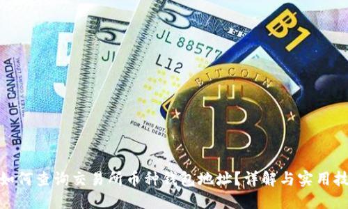 : 如何查询交易所币种钱包地址？详解与实用技巧