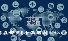BitKeep钱包总部在哪里？全面解析BitKeep钱包背景及