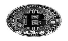 下载OKPay钱包的风险分析与安全使用指南