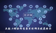 王超：B特派的重要里程碑与发展路径