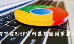 如何下载BitP官网最新版到苹果设备