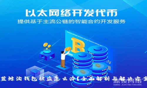 蓝鲸淘钱包被盗怎么办？全面解析与解决方案
