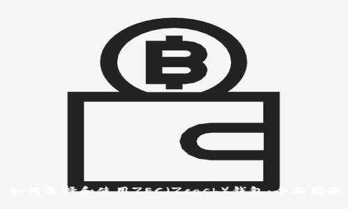 如何选择和使用ZEC（Zcash）钱包：全面指南