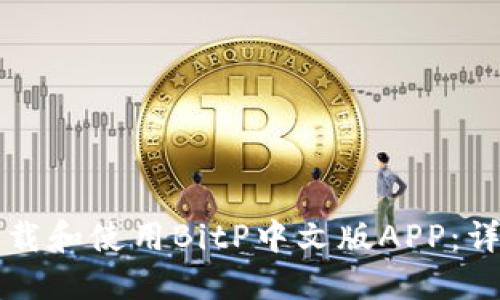 如何下载和使用BitP中文版APP：详细指南