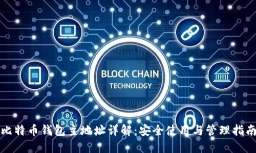 比特币钱包主地址详解：安全使用与管理指南