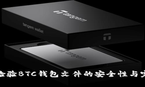 如何检验BTC钱包文件的安全性与完整性