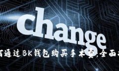 如何通过BK钱包购买手术费：全面指南