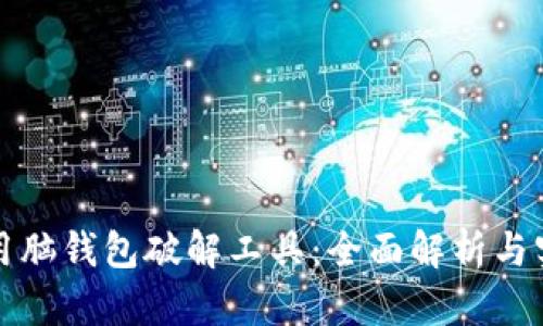 如何使用脑钱包破解工具：全面解析与实用指南
