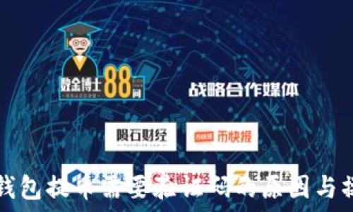   
比特派钱包提币需要验证码的原因与操作指南