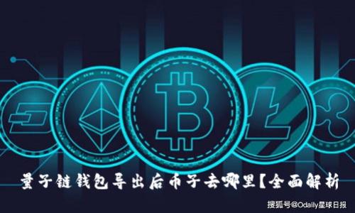 量子链钱包导出后币子去哪里？全面解析