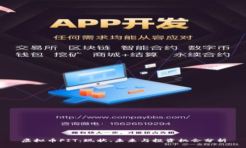 虚拟币FIT：现状、未来与投资机会分析