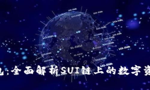 BitKeep钱包：全面解析SUI链上的数字资产管理工具