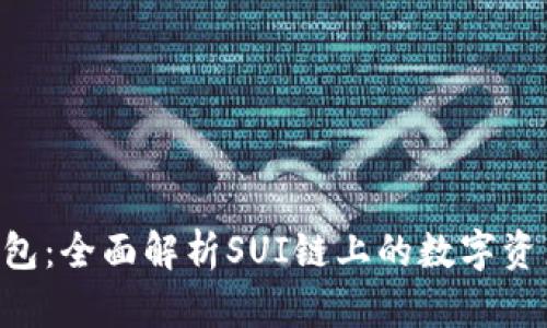 BitKeep钱包：全面解析SUI链上的数字资产管理工具