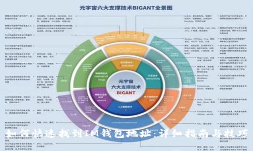如何快速找到IM钱包地址：详细指南与技巧