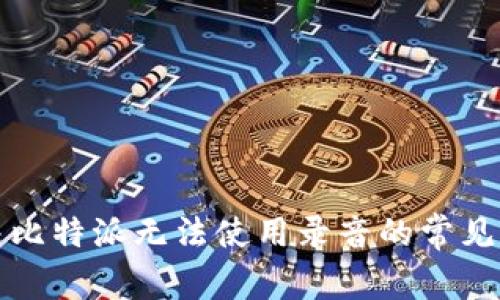 解决比特派无法使用录音的常见问题