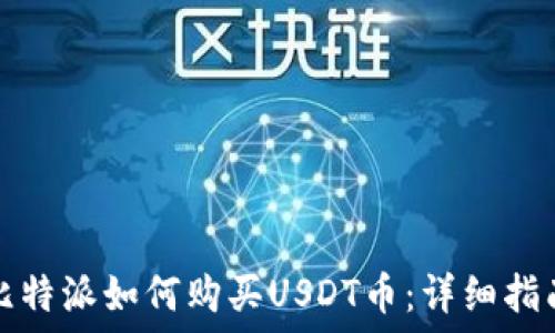  
比特派如何购买USDT币：详细指南