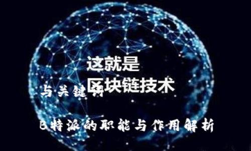 与关键词

B特派的职能与作用解析