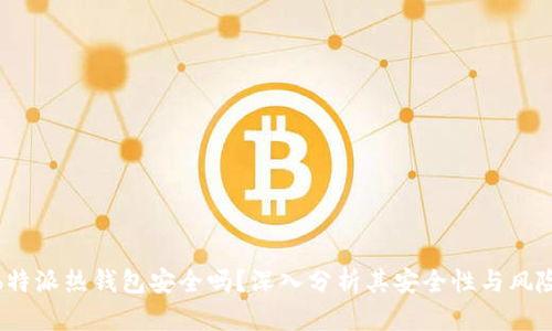 b特派热钱包安全吗？深入分析其安全性与风险