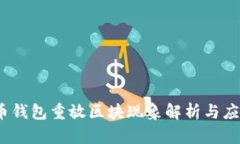  比特币钱包重放区块现象解析与应对策略