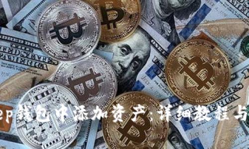 如何在BitKeep钱包中添加资产：详细教程与常见问题解答