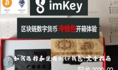 : 如何选择和使用BitP钱包：完全指南