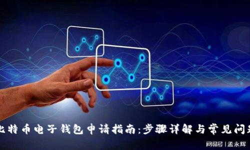 比特币电子钱包申请指南：步骤详解与常见问题