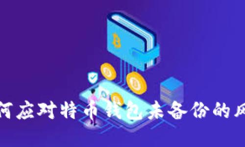如何应对特币钱包未备份的风险