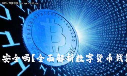 Copay钱包安全吗？全面解析数字货币钱包的安全性