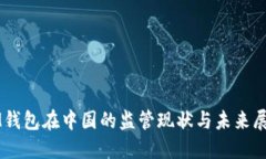IM钱包在中国的监管现状与未来展望